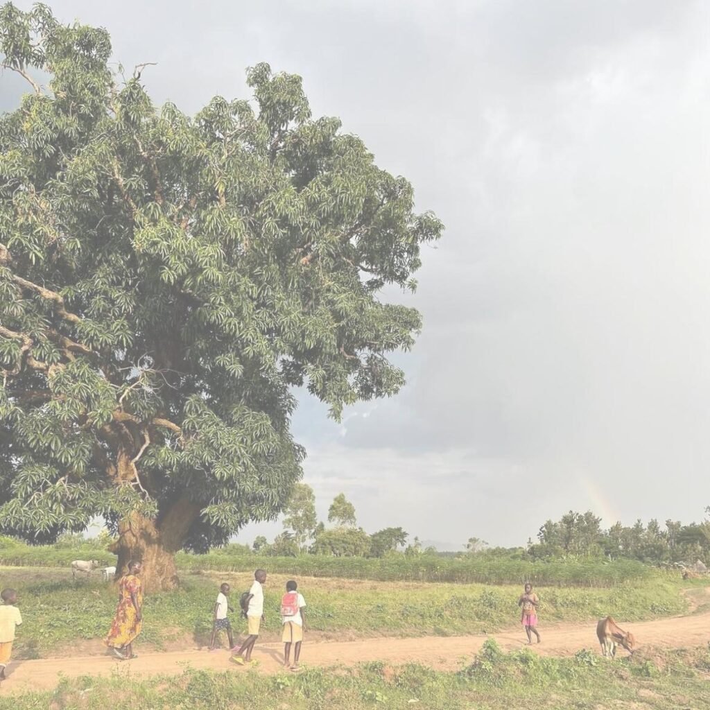 Paisaje de Tororo y entorno local de Uganda